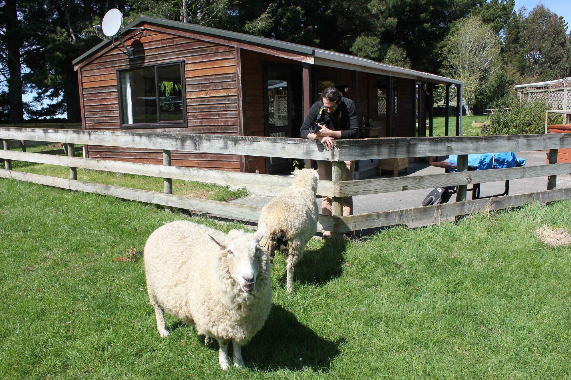 Height Of Dunedin Serviced Farm Stay Exterior foto